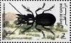 Colnect-3478-612-Sabre-toothed-beetle.jpg