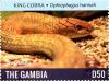 Colnect-3611-870-King-Cobra-Ophiophagus-hannah.jpg