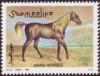 Colnect-5148-133-Brown-Arab-horse.jpg