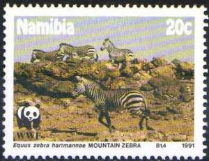 Colnect-1729-453-Mountain-Zebra-Equus-zebra-hartmannae-.jpg