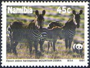 Colnect-1729-455-Mountain-Zebra-Equus-zebra-hartmannae.jpg