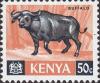 Colnect-1055-203-African-Buffalo-Syncerus-caffer.jpg