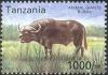 Colnect-1683-618-African-Buffalo-Syncerus-caffer.jpg