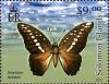 Colnect-2570-580-Swallowtail-Butterfly-Graphium-hicetaon.jpg