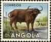 Colnect-4223-095-African-Buffalo-Syncerus-caffer.jpg