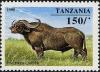 Colnect-4312-484-African-Buffalo-Syncerus-caffer.jpg