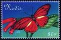 Colnect-2464-120-Julia-Butterfly-Dryas-iulia.jpg