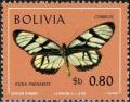 Colnect-5071-339-Milkweed-Butterfly-Ituna-phenarete.jpg