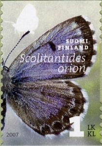 Colnect-586-608-Chequered-Blue-Butterfly-Scolitantides-orion.jpg