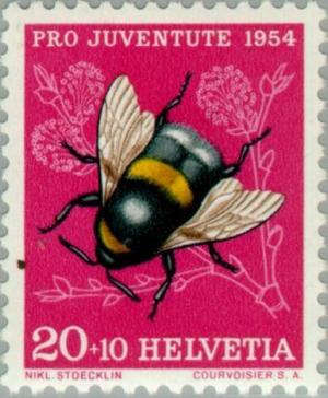 Colnect-140-001-Buff-tailed-Bumblebee-Bombus-terrestris.jpg