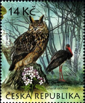 Colnect-3769-436-Eurasian-Eagle-Owl-Bubo-bubo-Black-Stork-Ciconia-nigra.jpg