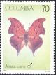 Colnect-2150-656-Leaf-Butterfly-Anaea-syene.jpg