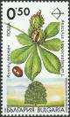 Colnect-5965-267-Endemic-trees-in-Bulgaria---Aesculus-hippocastanum.jpg