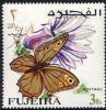 Colnect-2341-077-Nymphalid-Butterfly-Eumenis-tewfiki.jpg