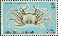 Colnect-1103-603-Ghost-Crab-Ocypode-ceratophthalma.jpg