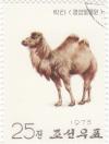 Colnect-1088-500-Bactrian-Camel-Camelus-bactrianus.jpg