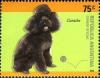 Colnect-1261-496-Poodle-Canis-lupus-familiaris.jpg