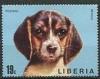 Colnect-1670-866-Beagle-Canis-lupus-familiaris.jpg