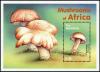 Colnect-3075-363-Calocybe-gambosa.jpg