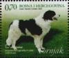 Colnect-537-121-Tornjak-Canis-lupus-familiaris.jpg