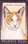 Colnect-2347-959-Malaysian-Cat-Felis-silvestris-catus.jpg