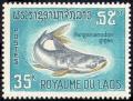 Colnect-242-355-Mekong-Giant-Catfish-Pangasianodon-gigas.jpg