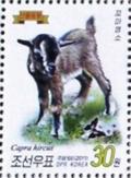 Colnect-2953-464-Goat-Capra-aegagrus-hircus.jpg