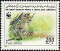 Colnect-4961-975-African-Wildcat-Felis-silvestris-lybica.jpg