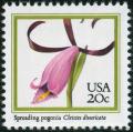 Colnect-5093-861-Cleistes-divaricata---Spreading-Pogonia-Orchid.jpg
