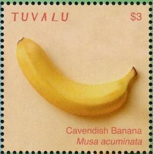 Colnect-6400-651-Cavendish-Banana.jpg