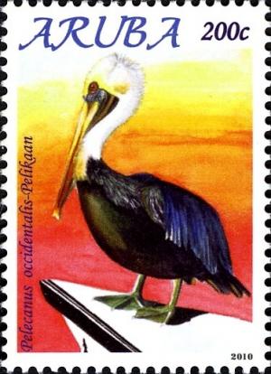 Colnect-1460-789-Brown-Pelican-Pelecanus-occidentalis.jpg