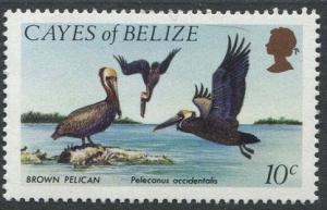 Colnect-1702-318-Brown-Pelican-Pelecanus-occidentalis.jpg