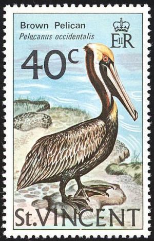 Colnect-1755-553-Brown-Pelican-Pelecanus-occidentalis.jpg