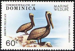 Colnect-2016-007-Brown-Pelican-Pelecanus-occidentalis.jpg