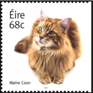 Colnect-2461-488-Maine-Coon-Cat-Felis-silvestris-catus.jpg