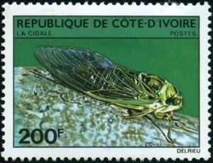 Colnect-2757-469-Cicada-Cicadidae-sp.jpg