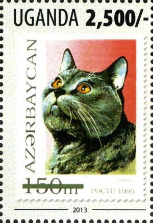 Colnect-3053-210-Carthusian-Cat-Felis-silvestris-catus.jpg
