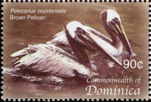 Colnect-3202-505-Brown-Pelican-Pelecanus-occidentalis.jpg