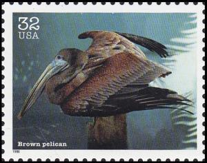 Colnect-5106-719-Brown-Pelican-Pelecanus-occidentalis.jpg