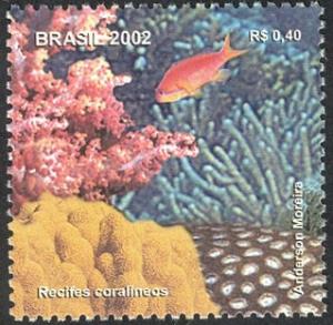 Colnect-694-390-Tropical-Fish-and-Corals.jpg