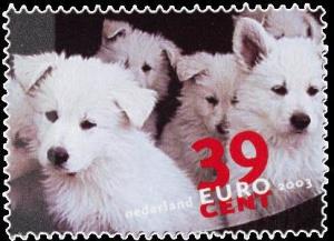 Colnect-702-601-Puppies-Canis-lupus-familiaris.jpg