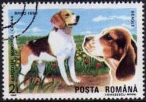 Colnect-745-362-Beagle-Canis-lupus-familiaris.jpg