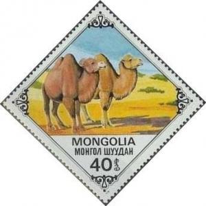 Colnect-903-587-Bactrian-Camel-Camelus-bactrianus.jpg