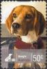 Colnect-1080-647-Beagle-Canis-lupus-familiaris.jpg