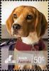 Colnect-472-686-Beagle-Canis-lupus-familiaris.jpg