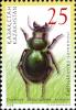 Colnect-977-122-Beetle-Callisthenes-semenovi.jpg