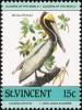 Colnect-1748-160-Brown-Pelican-Pelecanus-occidentalis.jpg