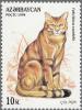 Colnect-3386-958-African-Wildcat-Felis-silvestris-lybica.jpg