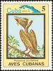 Colnect-3564-324-Brown-Pelican-Pelecanus-occidentalis.jpg