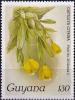 Colnect-4146-047-Cattleya-citrina.jpg